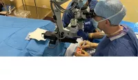 Traitements des maladies de la rétine